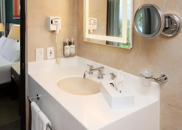 Hotel Hotel&suites Medica Sur By Ihg 4*