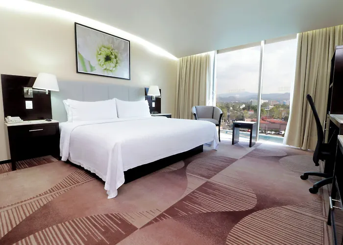 Hotel&suites Medica Sur By Ihg 4* México DF