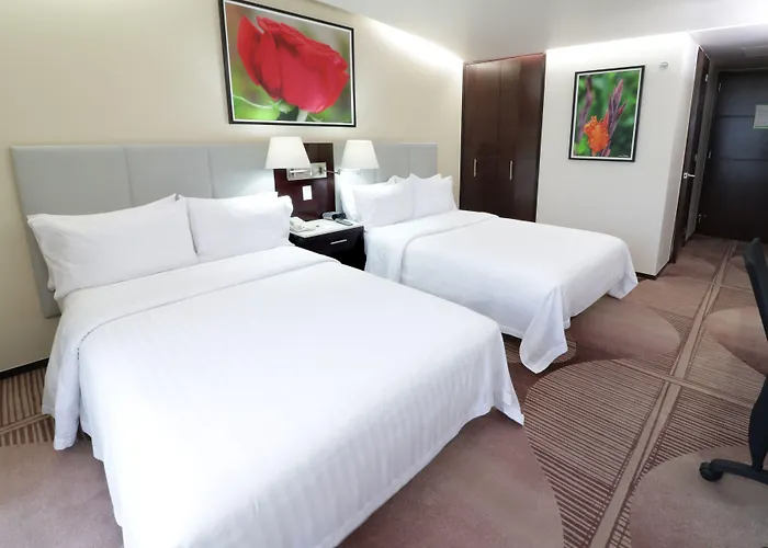 Hotel Hotel&suites Medica Sur By Ihg México DF