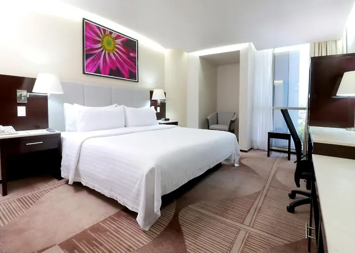 Hotel&suites Medica Sur By Ihg 4*