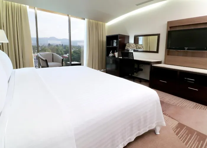 Hotel&suites Medica Sur By Ihg Hotel 4*